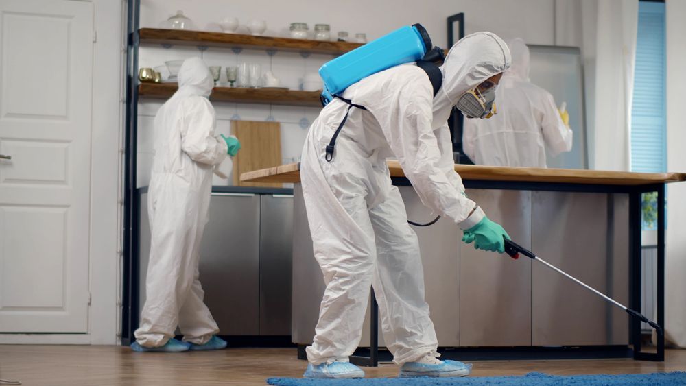 Three people in white protective hazmat suits and masks clean a kitchen with sprayers.