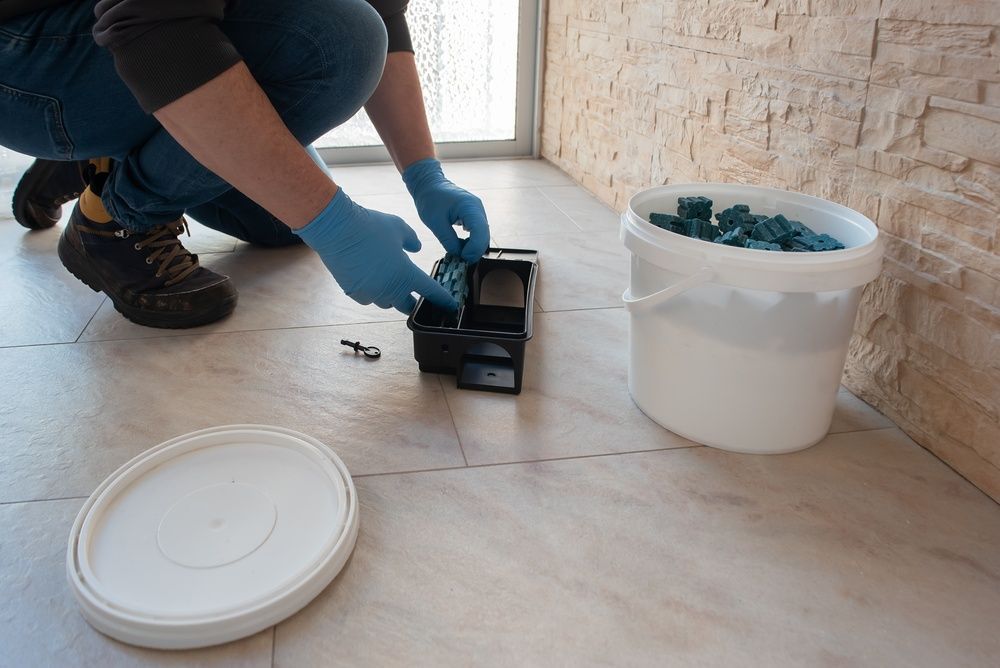A person in blue gloves sets a rodent bait station on a tiled floor near a bucket filled with blue bait blocks.