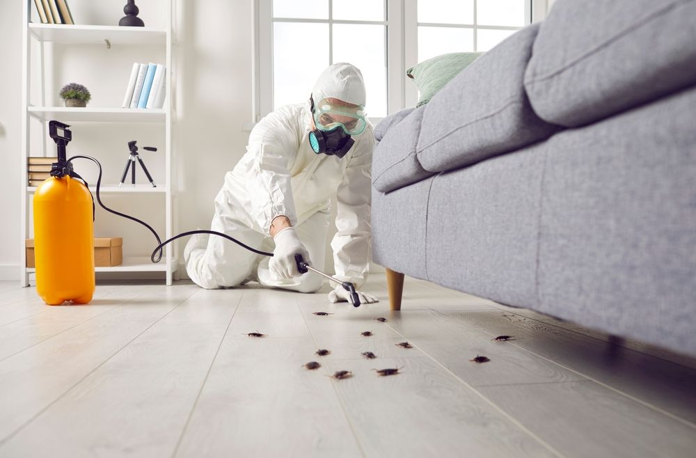 Pest control worker in protective gear sprays near a sofa in a living room, with scattered insects on the floor.