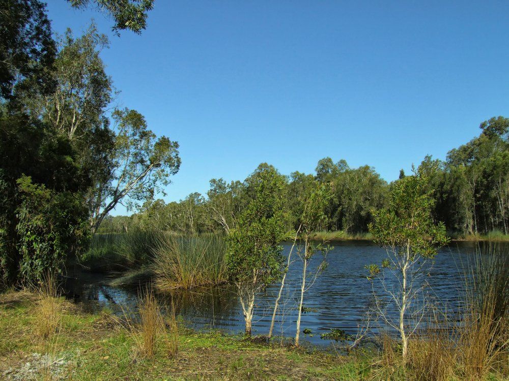Lake in the Middle of the Forest — East Coast Cement Rendering in Ballina, NSW