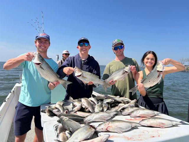 Four anglers on a boat hold up large fish over a pile of catch on a sunny day.