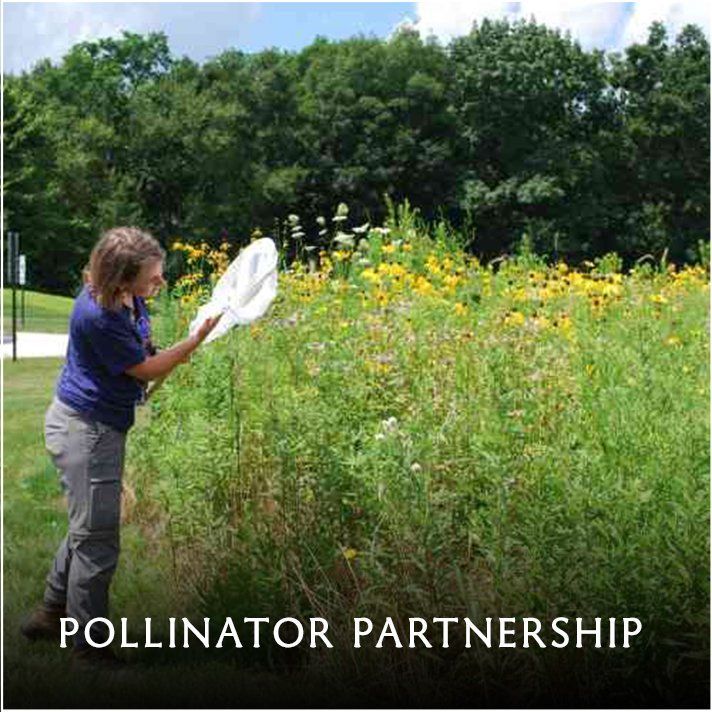 Pollinator Partnership