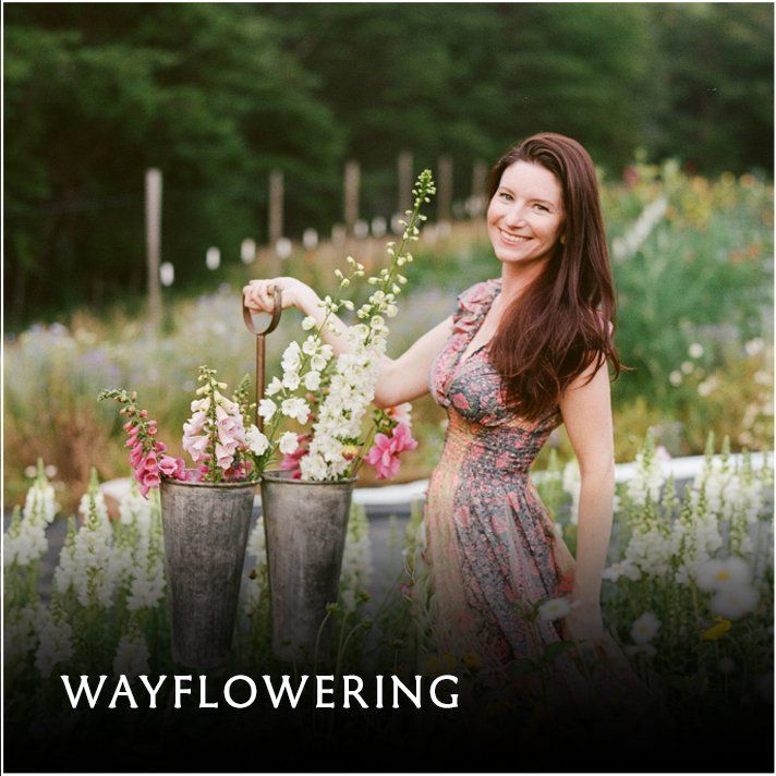 Wayflowering