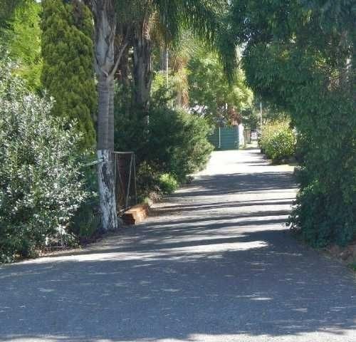 A Road with Trees and Bushes — Roll Formed Driveways in Yandina, QLD