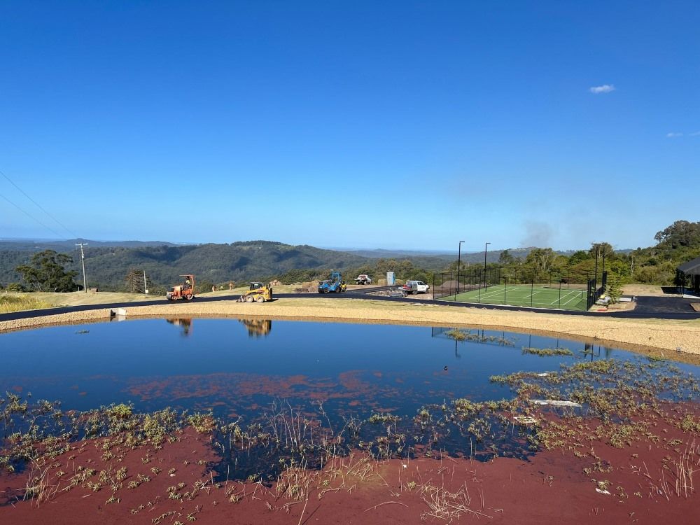 A Large Body Of Water With A Lot Of Plants In It — Roll Formed Driveways in Caboolture, QLD