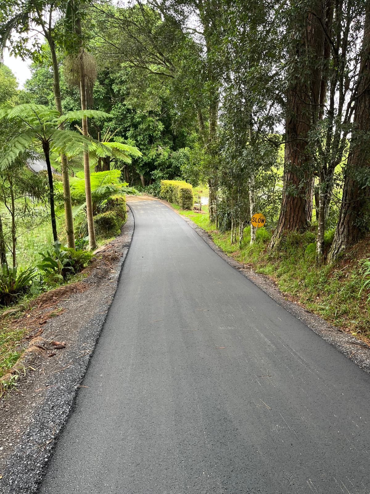 A road going through a forest with trees on both sides — Roll Formed Driveways in Yandina, QLD
