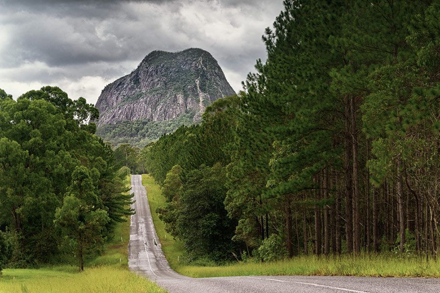 A Road Going Through a Forest with A Mountain in The Background — Roll Formed Driveways in Maleny, QLD
