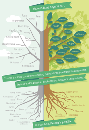 Trauma diagram
