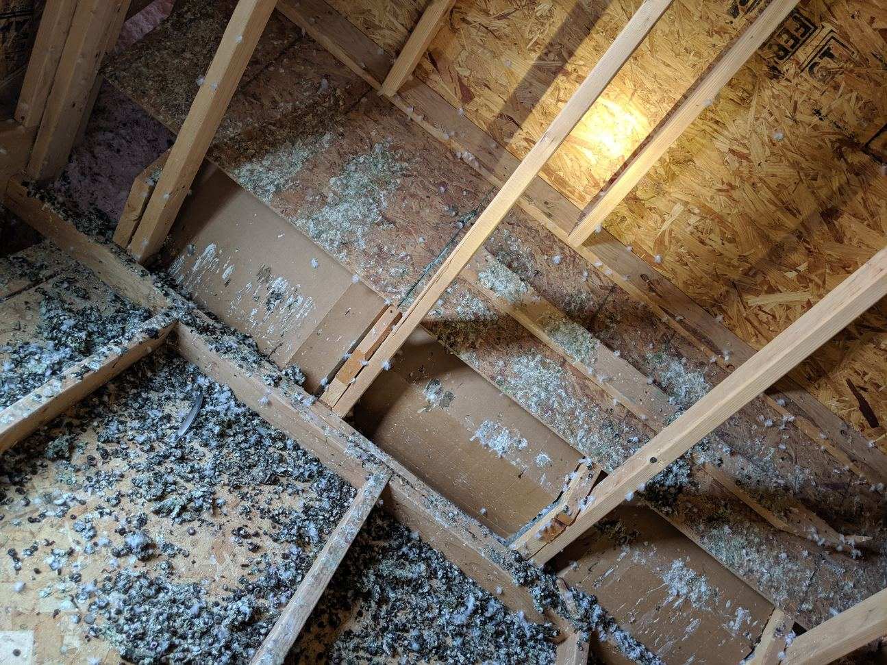 Before Pigeon Feces Decontamination — Milliken, CO — First Point Construction