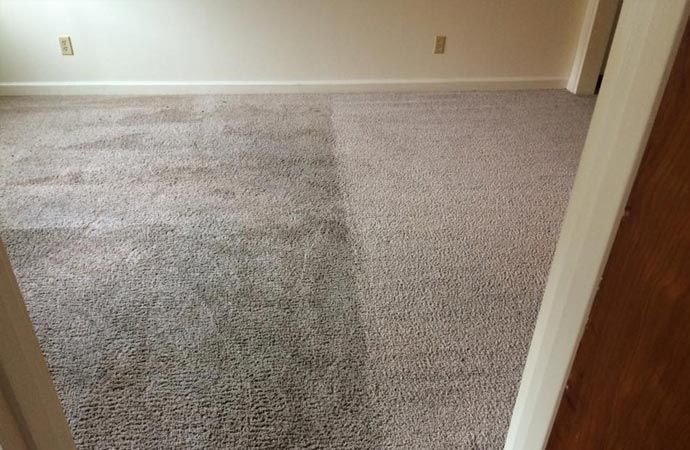 Empty beige carpeted room seen through a doorway