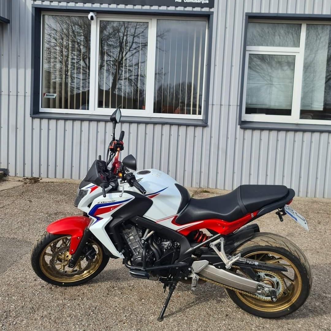 honda hornet
