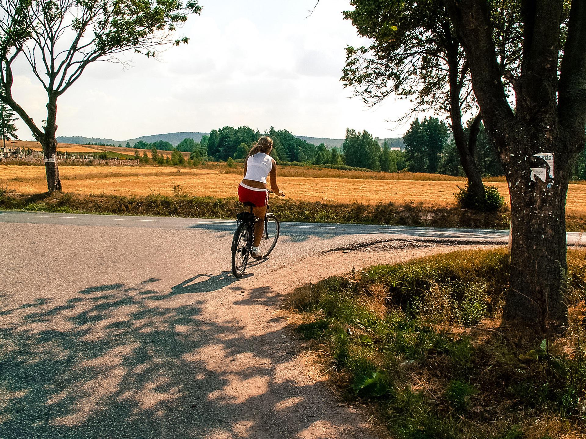 Escursioni in bici