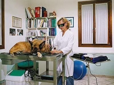 Cinzia Sabrina Schievano