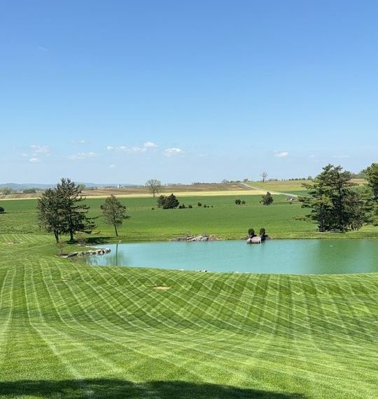 Green grassy landscape with pond under a blue sky; trees and fields in the distance.