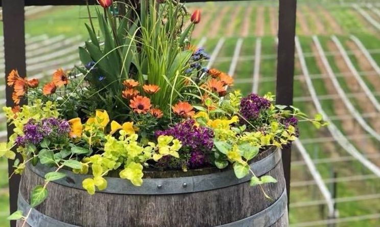 A wooden barrel filled with flowers is hanging on a railing.