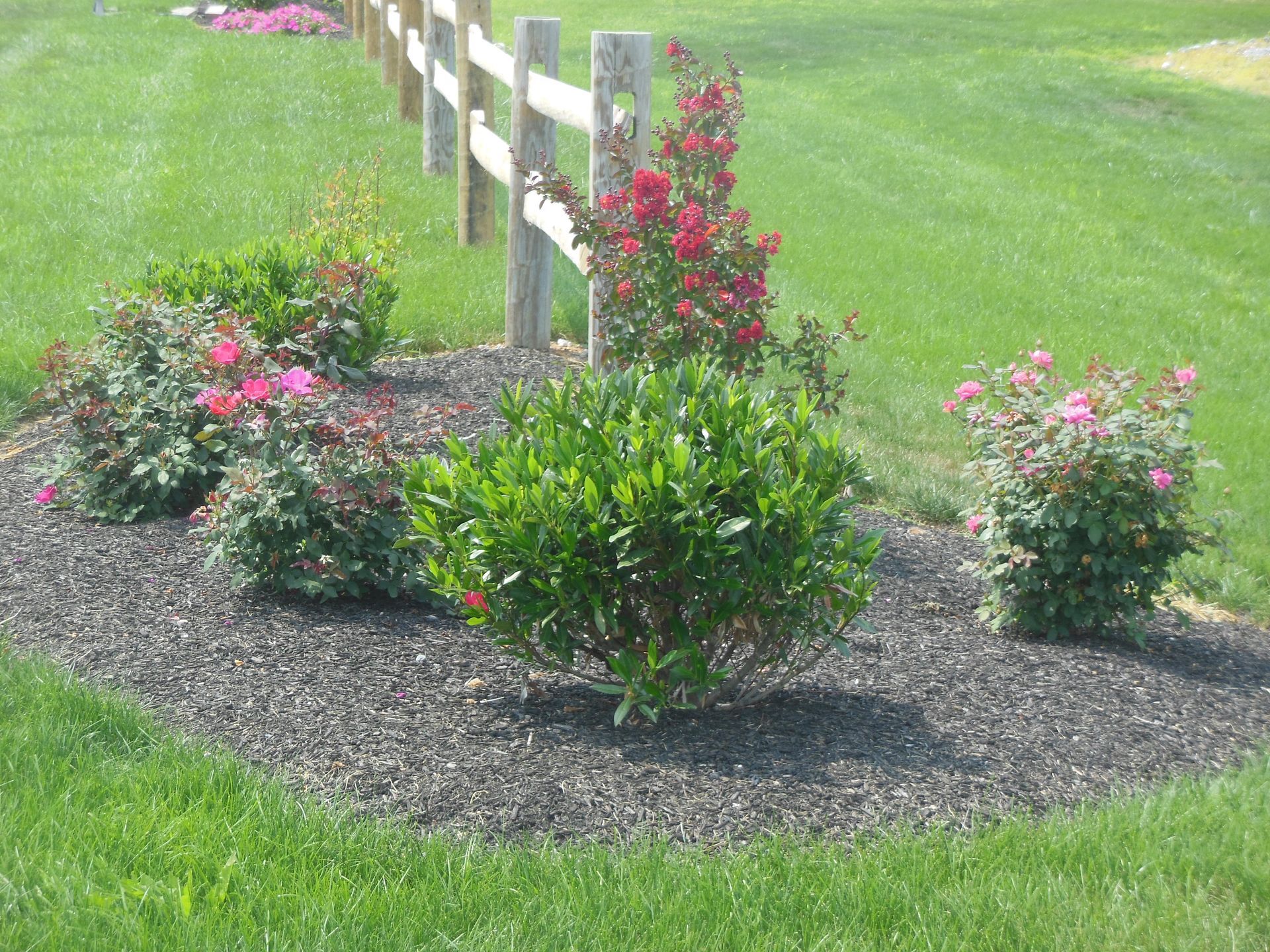 A wooden fence surrounds a lush green lawn with flowers and bushes.