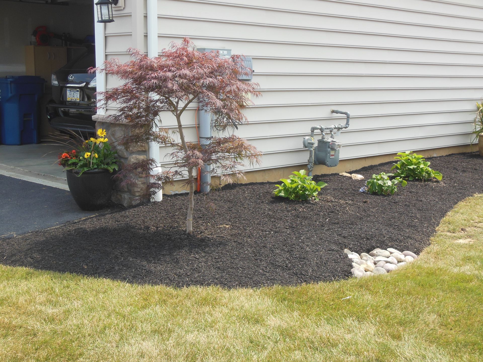 A tree in a planter in front of a house