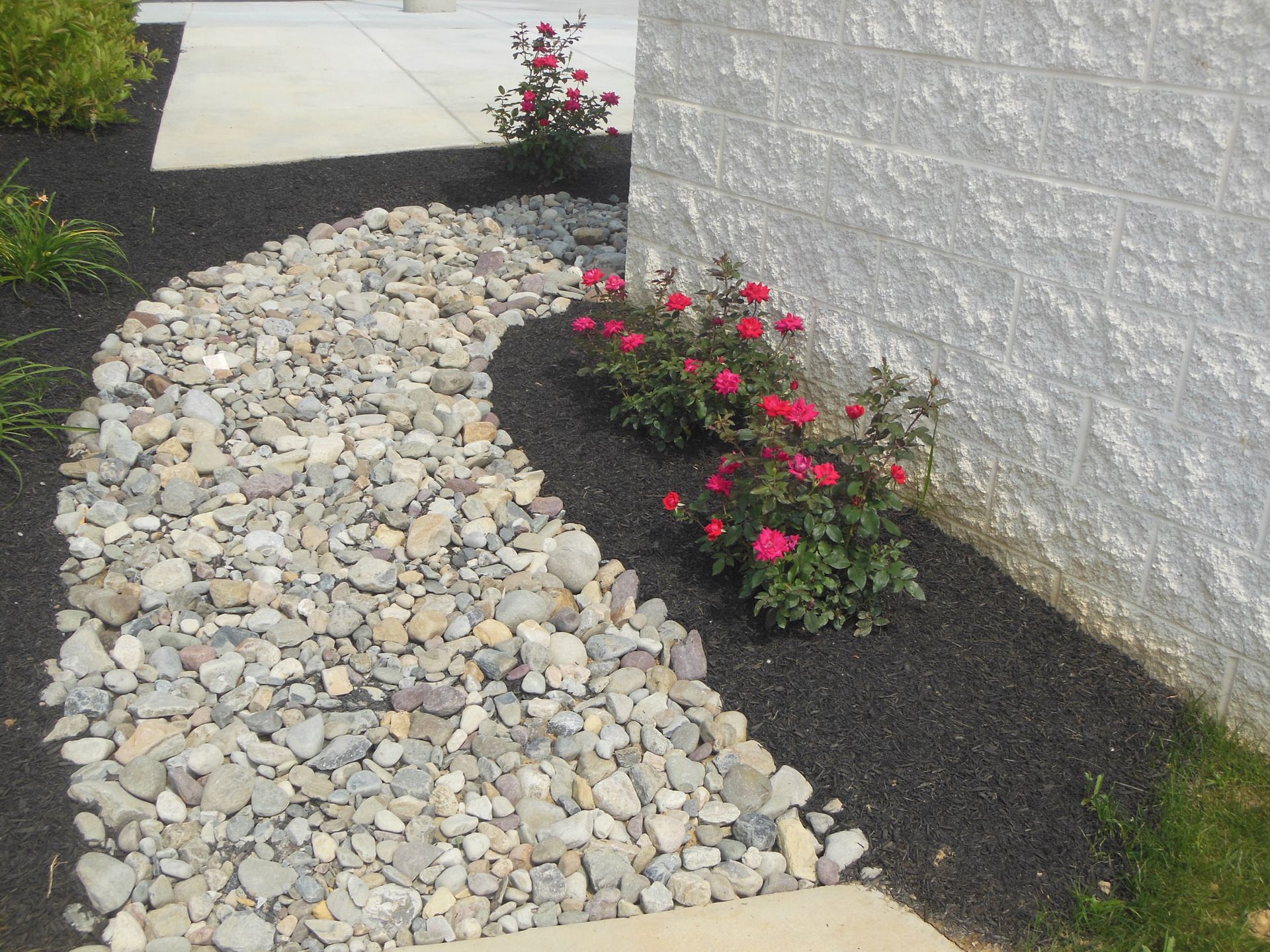 Curved stone walkway beside a white wall, bordered by black mulch and pink flowers.