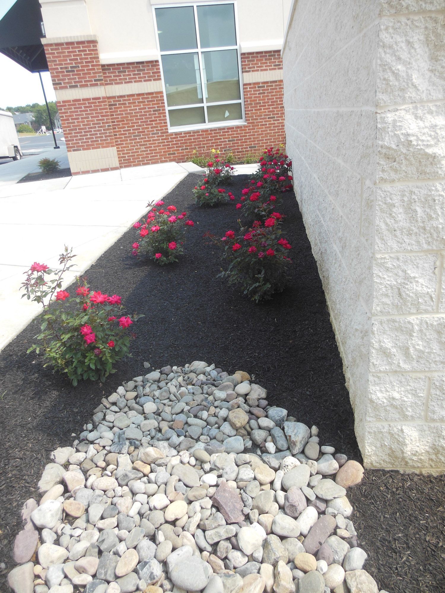 A garden with rocks and flowers in front of a brick building