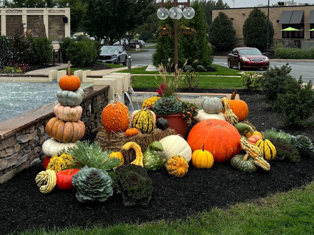 Pumpkin and gourd display in a landscaped garden with autumn flowers and mulch