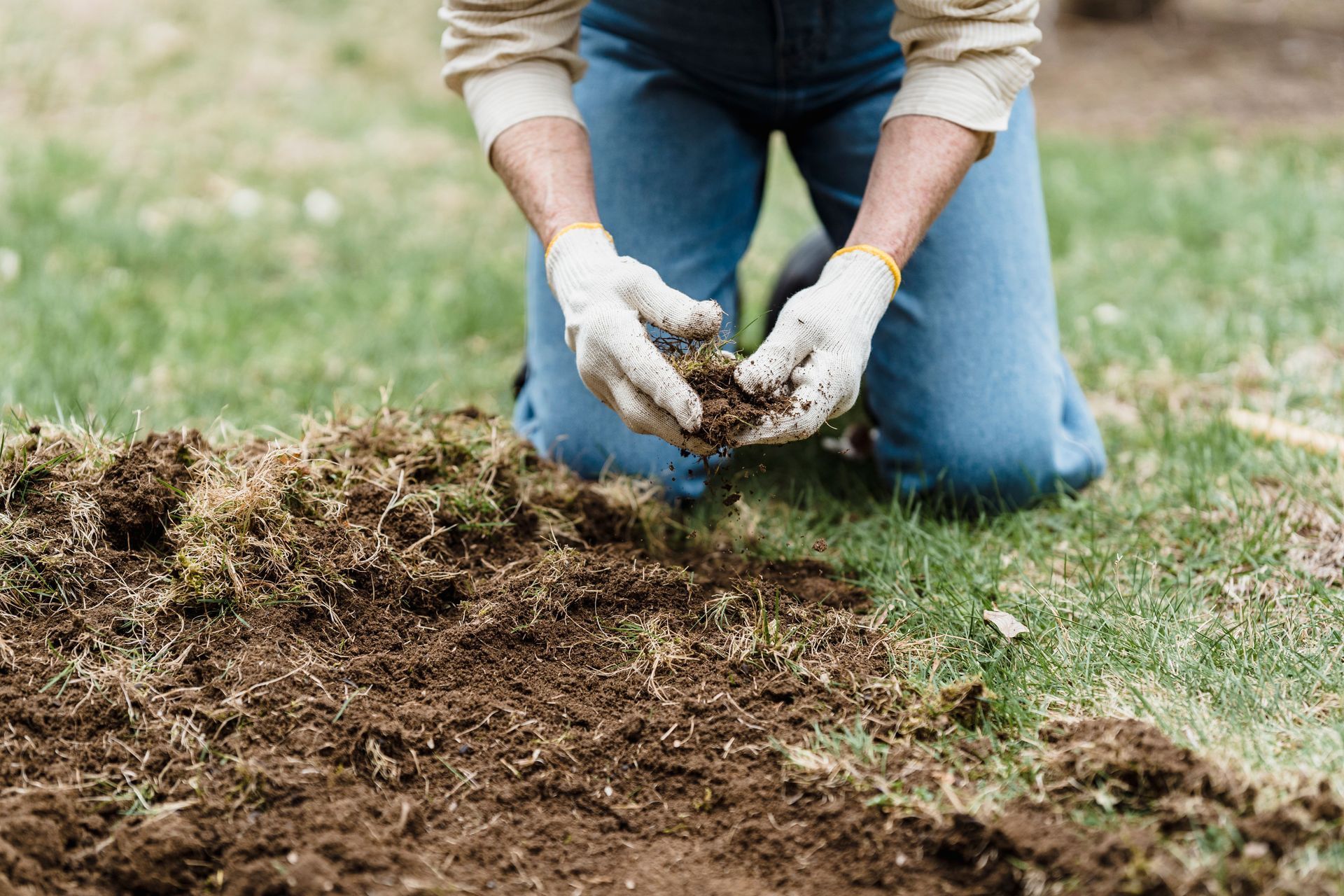 Person kneeling in grass, planting soil with gloved hands beside a dug-up patch