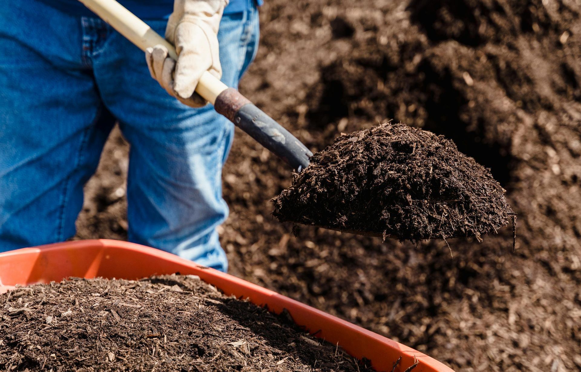 A person is shoveling dirt into a wheelbarrow.