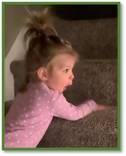 A little girl is crawling up a set of stairs