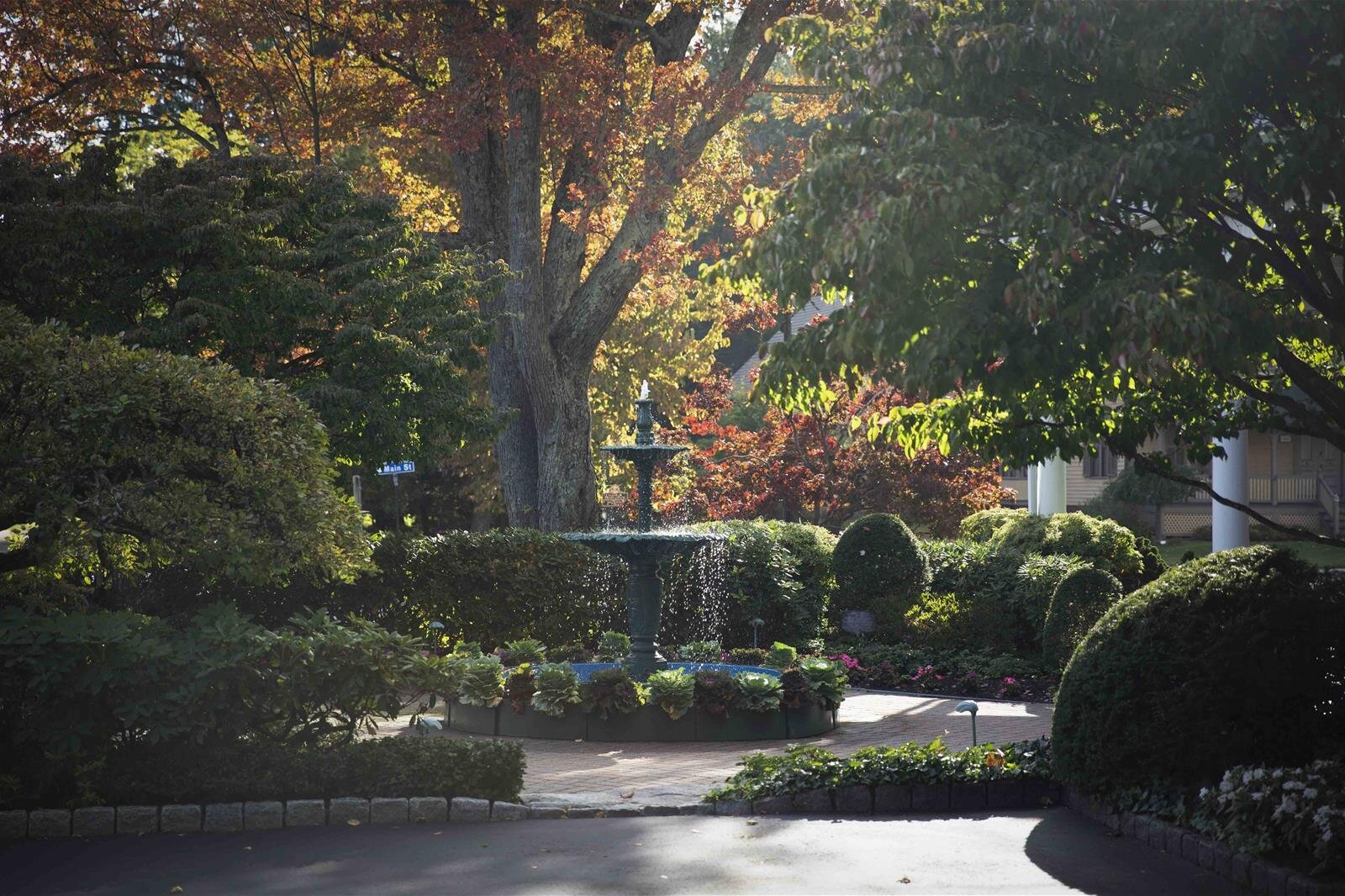 There is a fountain in the middle of a park surrounded by trees.