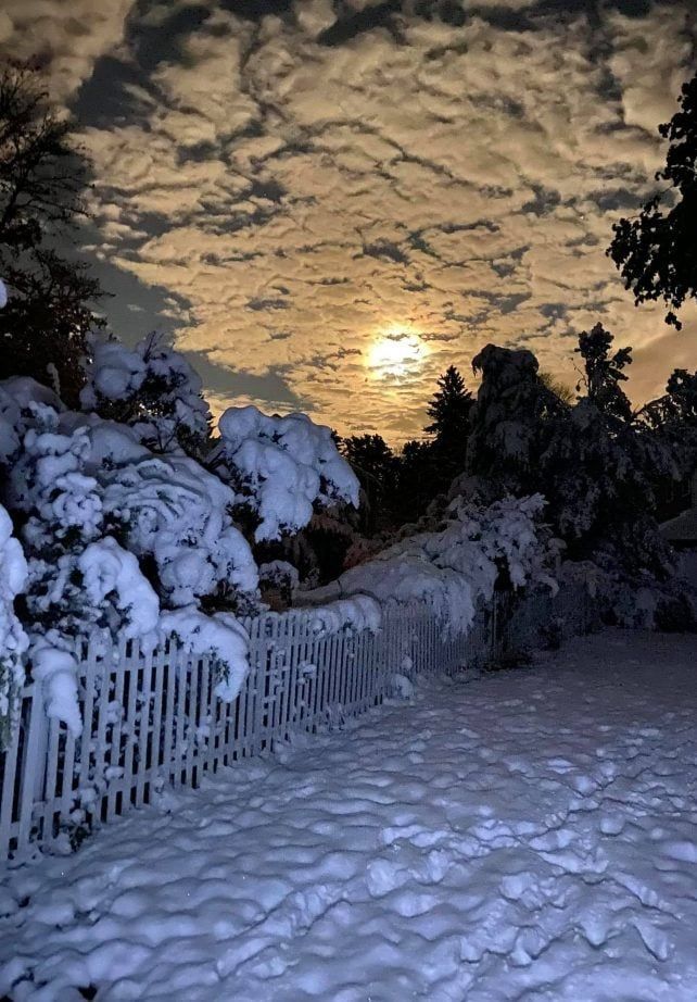 A snowy landscape with a fence and trees covered in snow