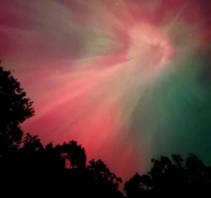 A pink and green sky with trees in the foreground