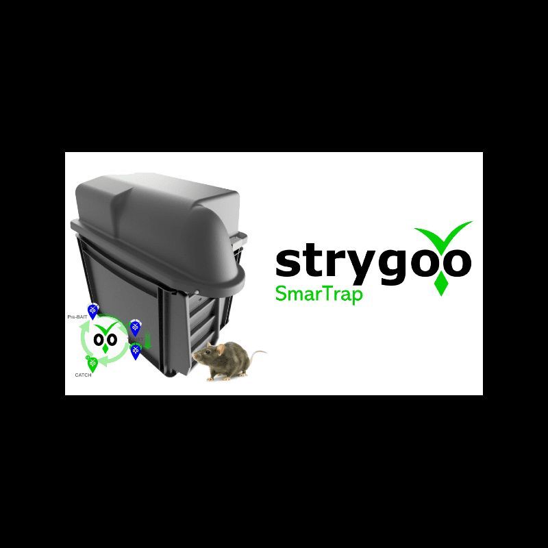 piege Strygoo