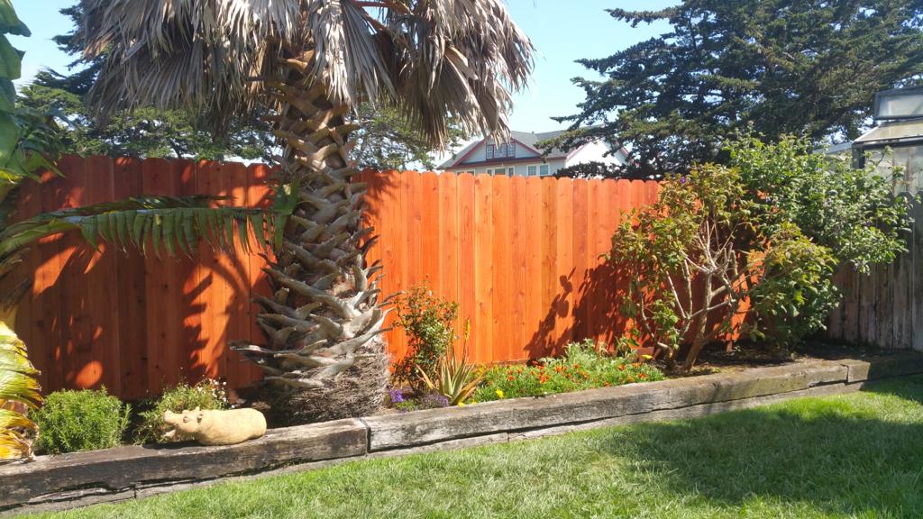 Beautiful Backyard Wooden Fence — Belmont, CA — ASG Complete Landscape Beautiful Backyard Wooden Fence — Belmont, CA — ASG Complete Landscape