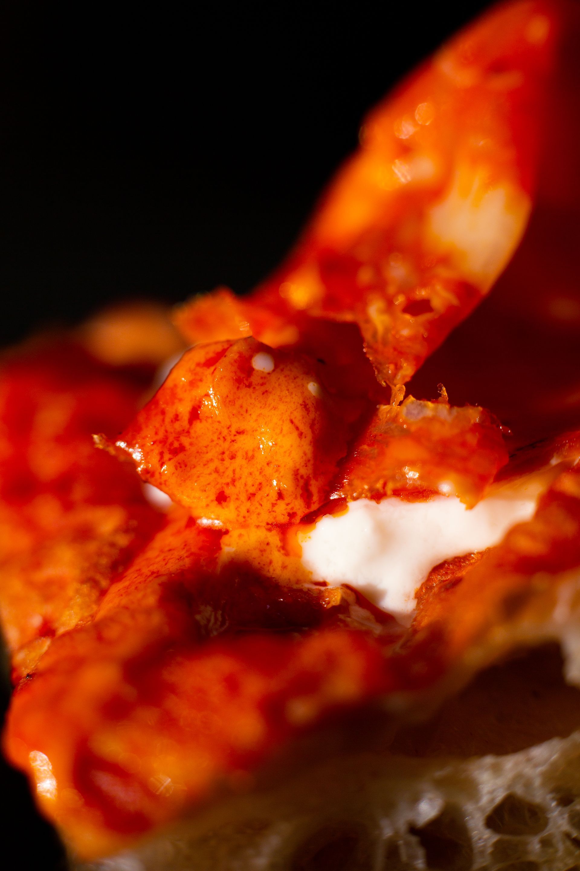 Primo piano di una fetta di pizza al salame piccante con formaggio, salsa rossa fusa e un morso.