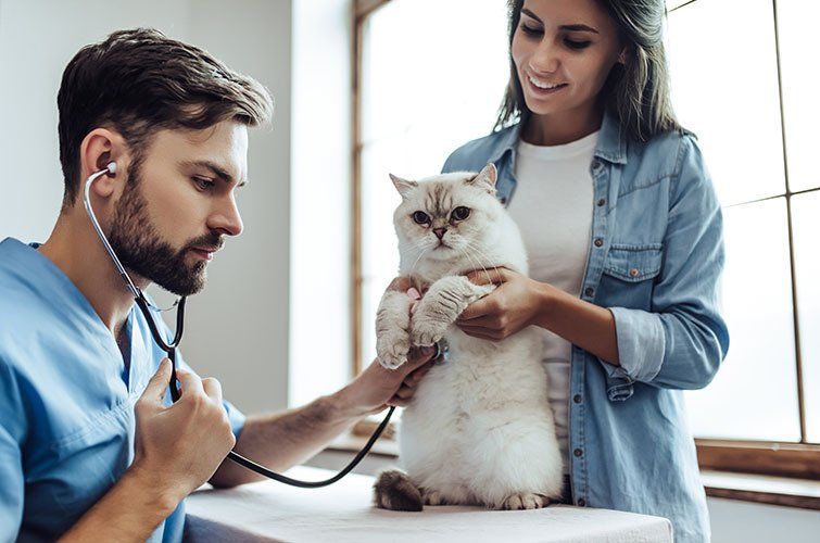 Vet’s Help