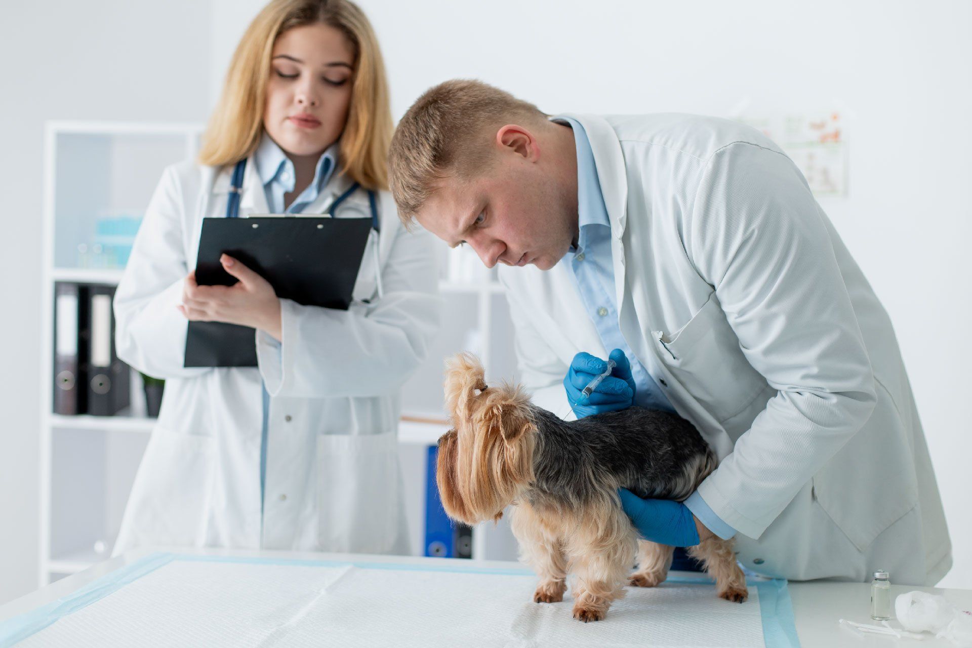 Vet’s Help