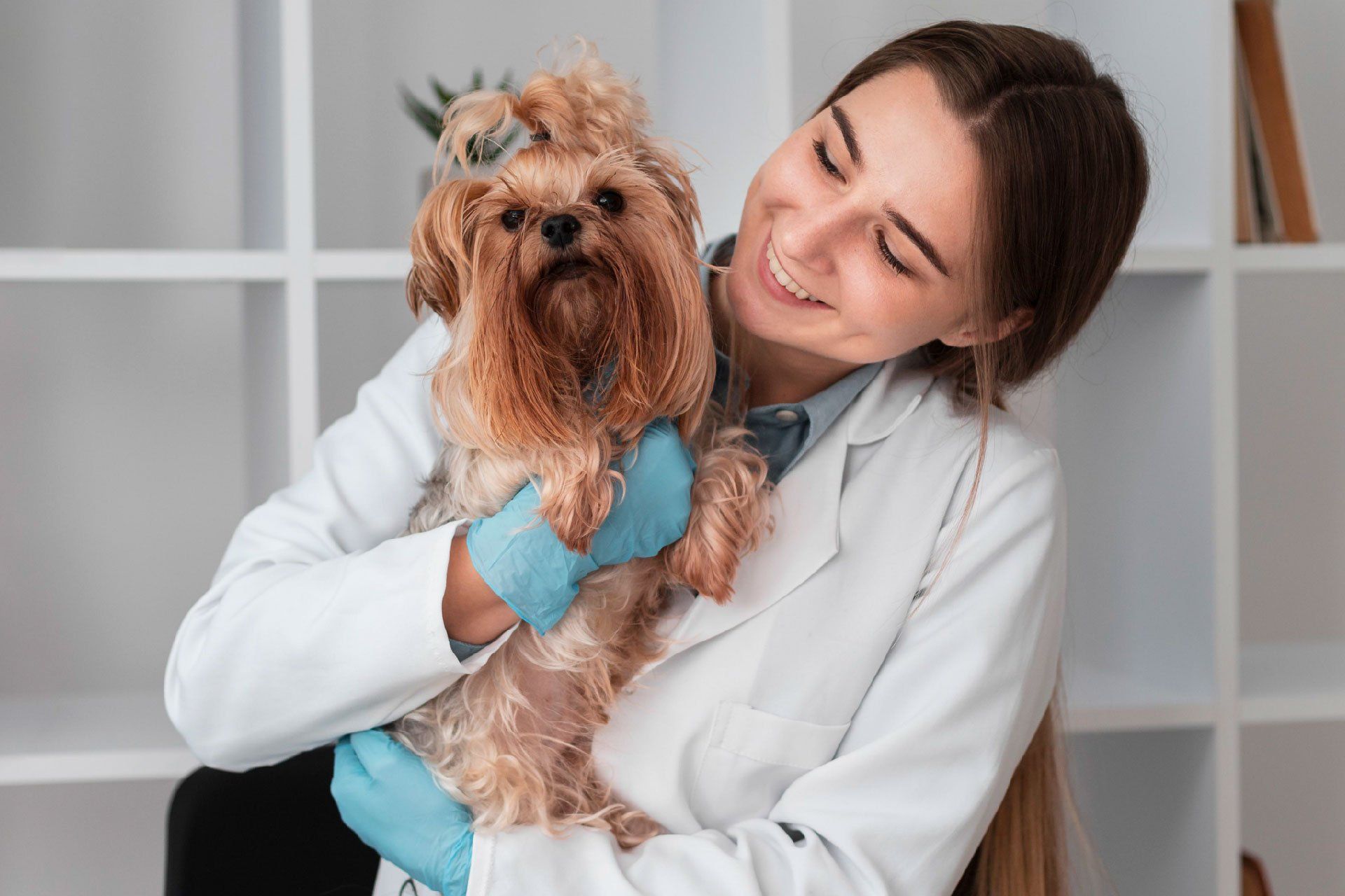 Vet’s Help