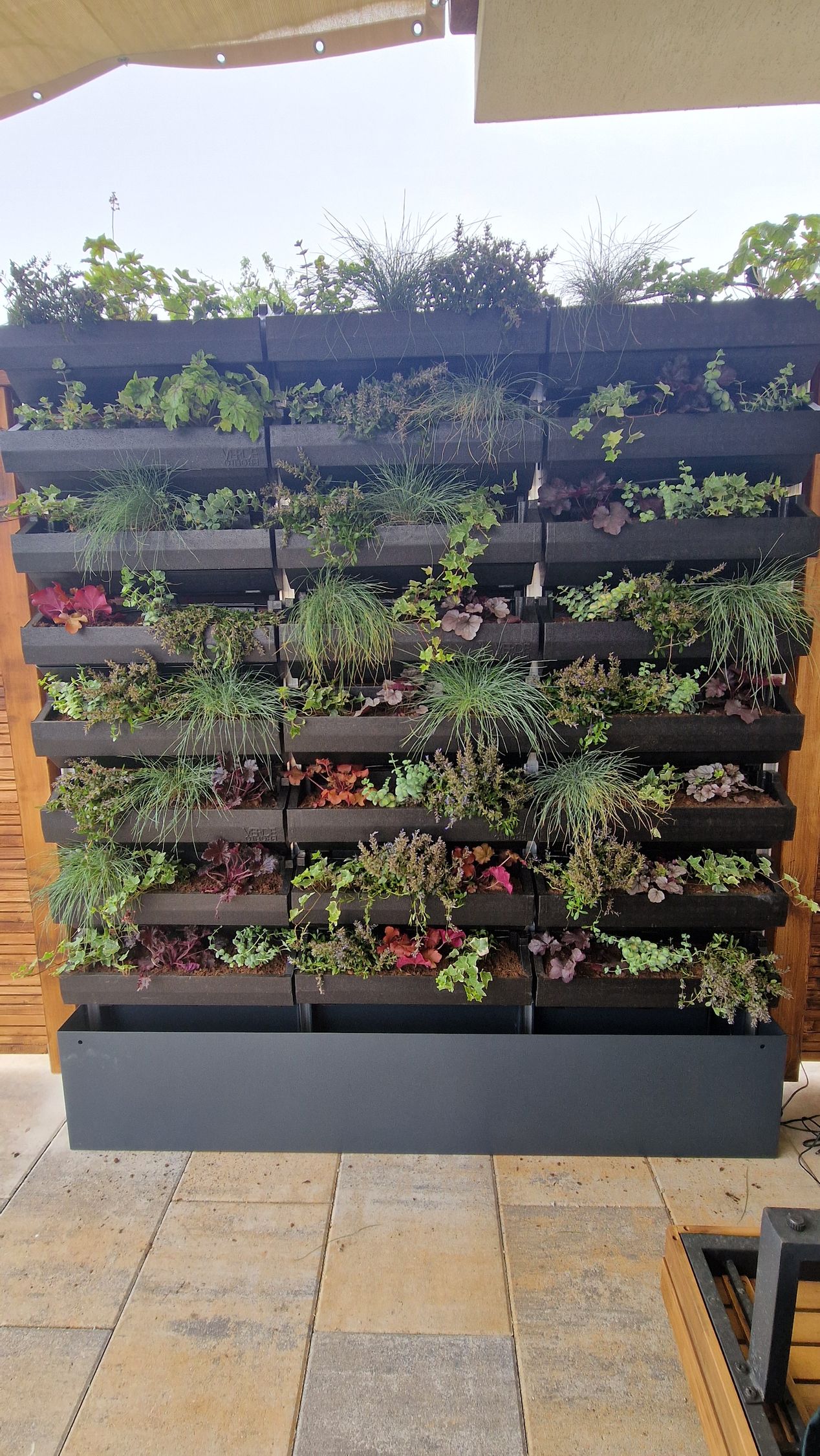 Zelená fasáda, Malá Ida