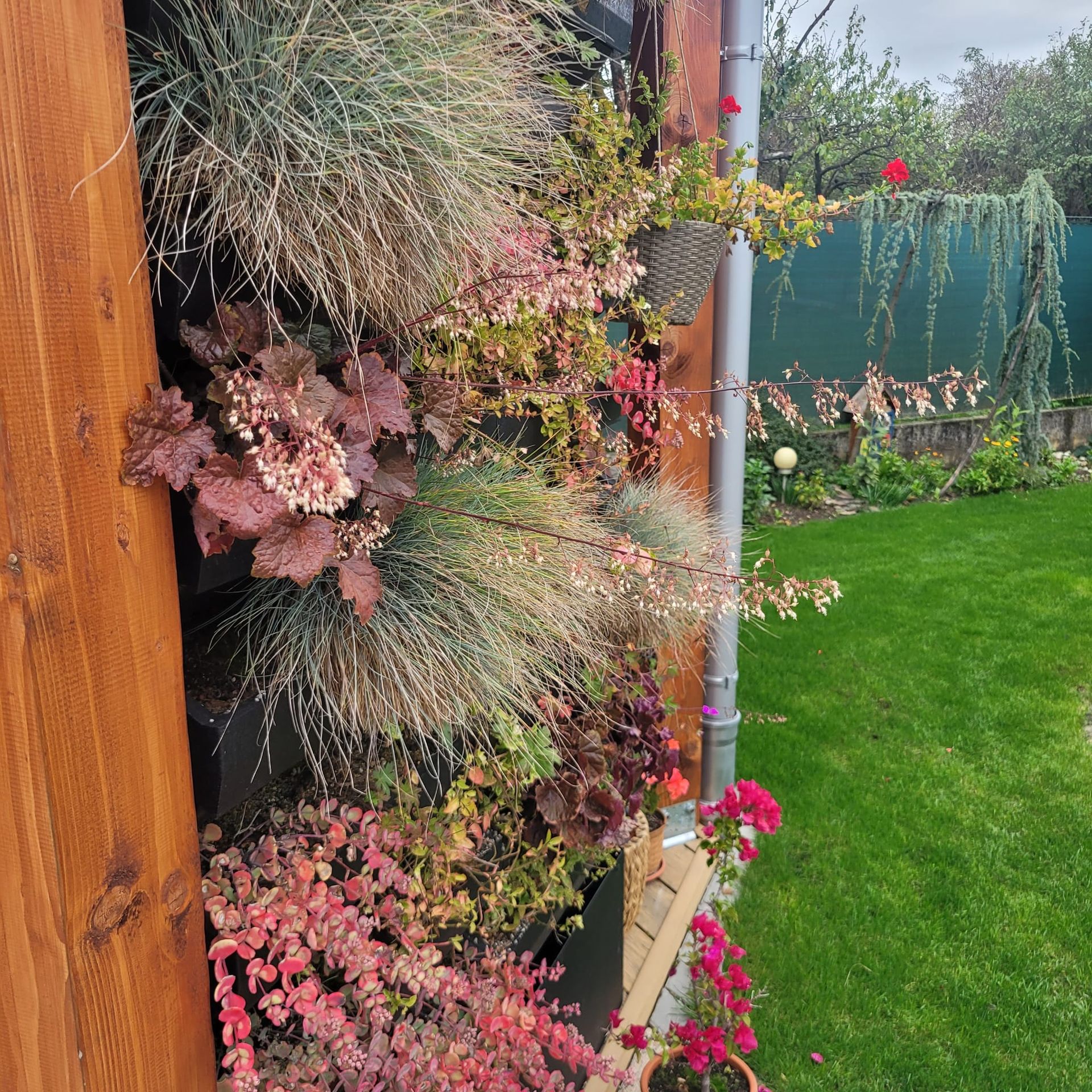 Zelená fasáda, Košice - Ťahanovce