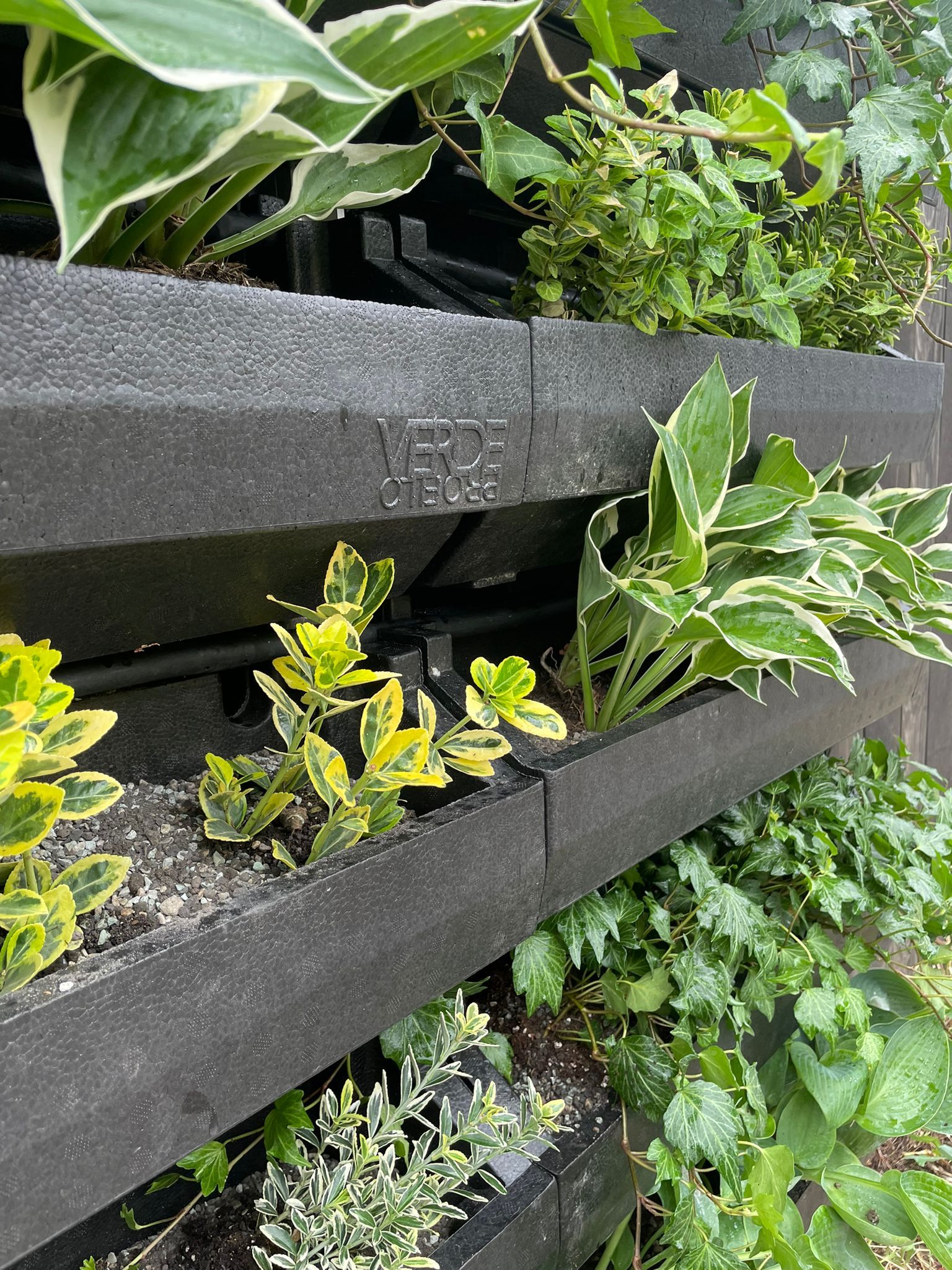 Zelená fasáda, Bratislava