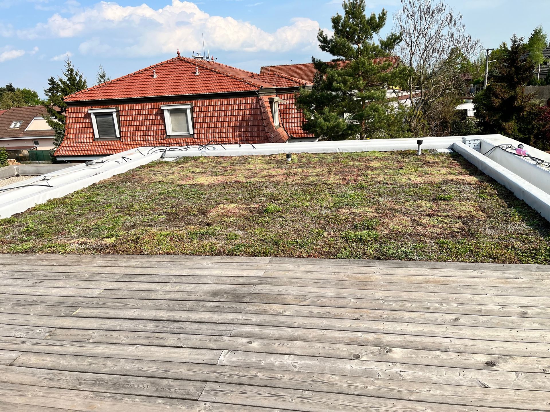 Extenzívna zelená strecha, Pereš