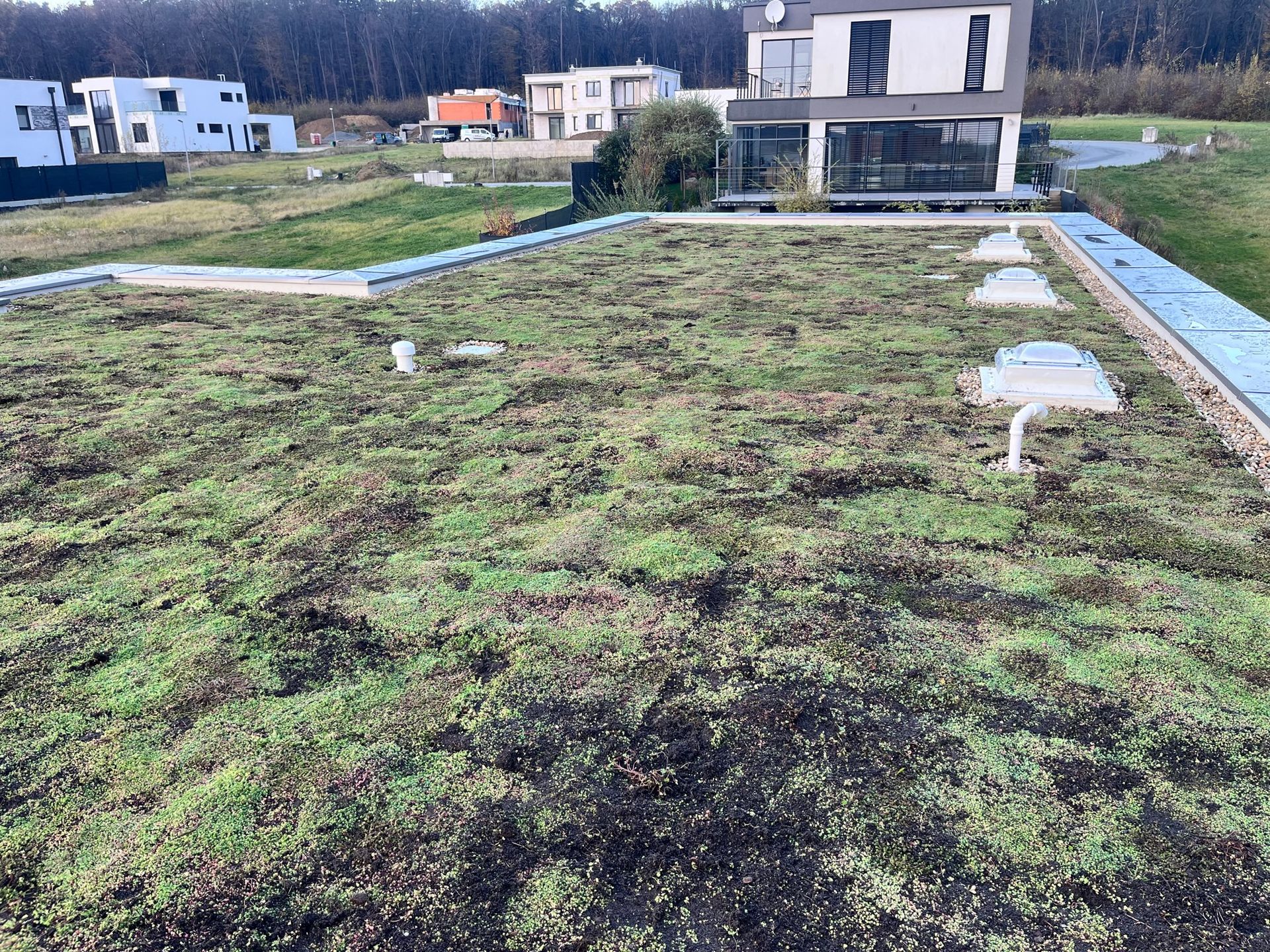 Extenzívna zelená strecha, Malá Ida