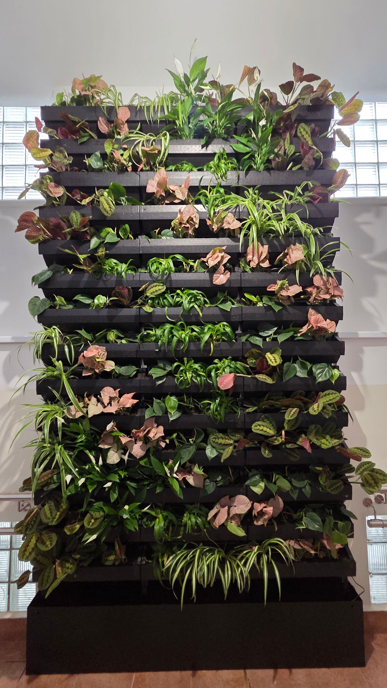 Zelená interiérová stena v budove SOŠ, Košice