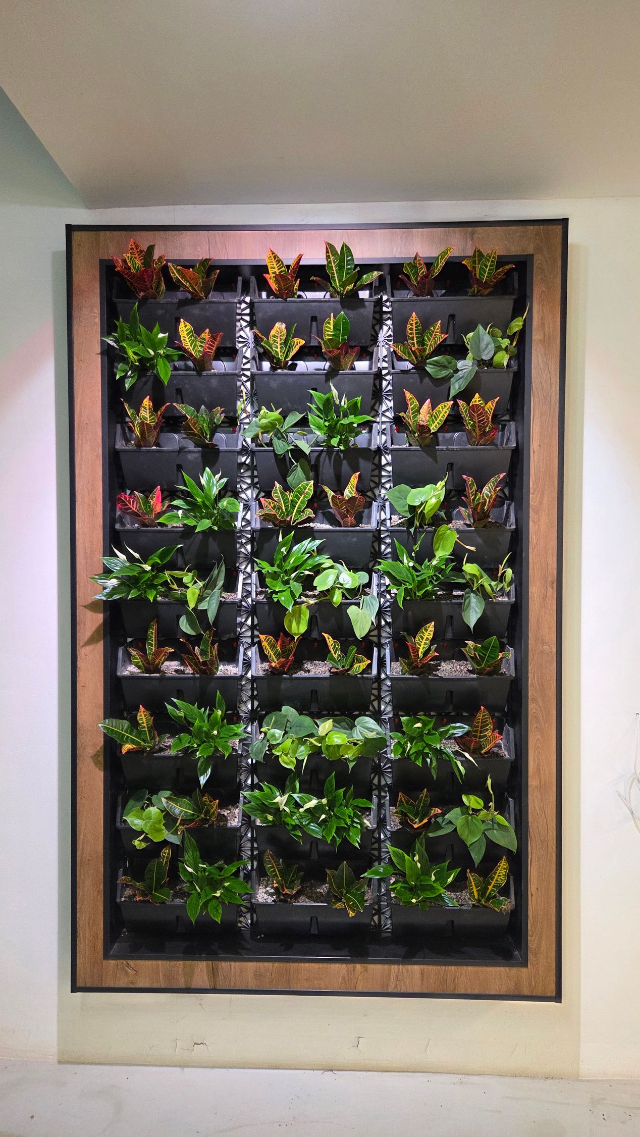 Zelená interiérová stena v budove TUKE, Košice