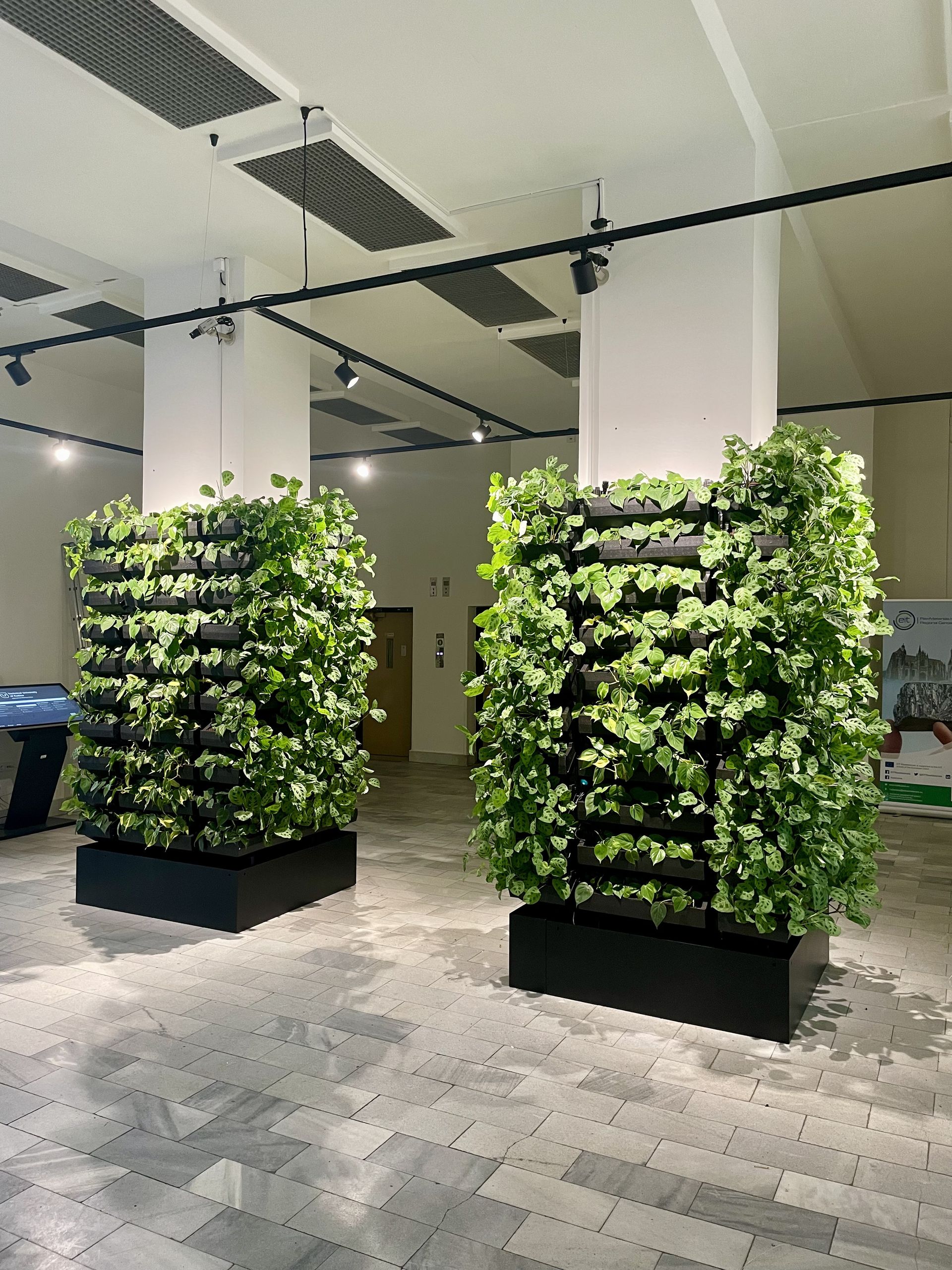 Zelená interiérová stena v budove TUKE, Košice