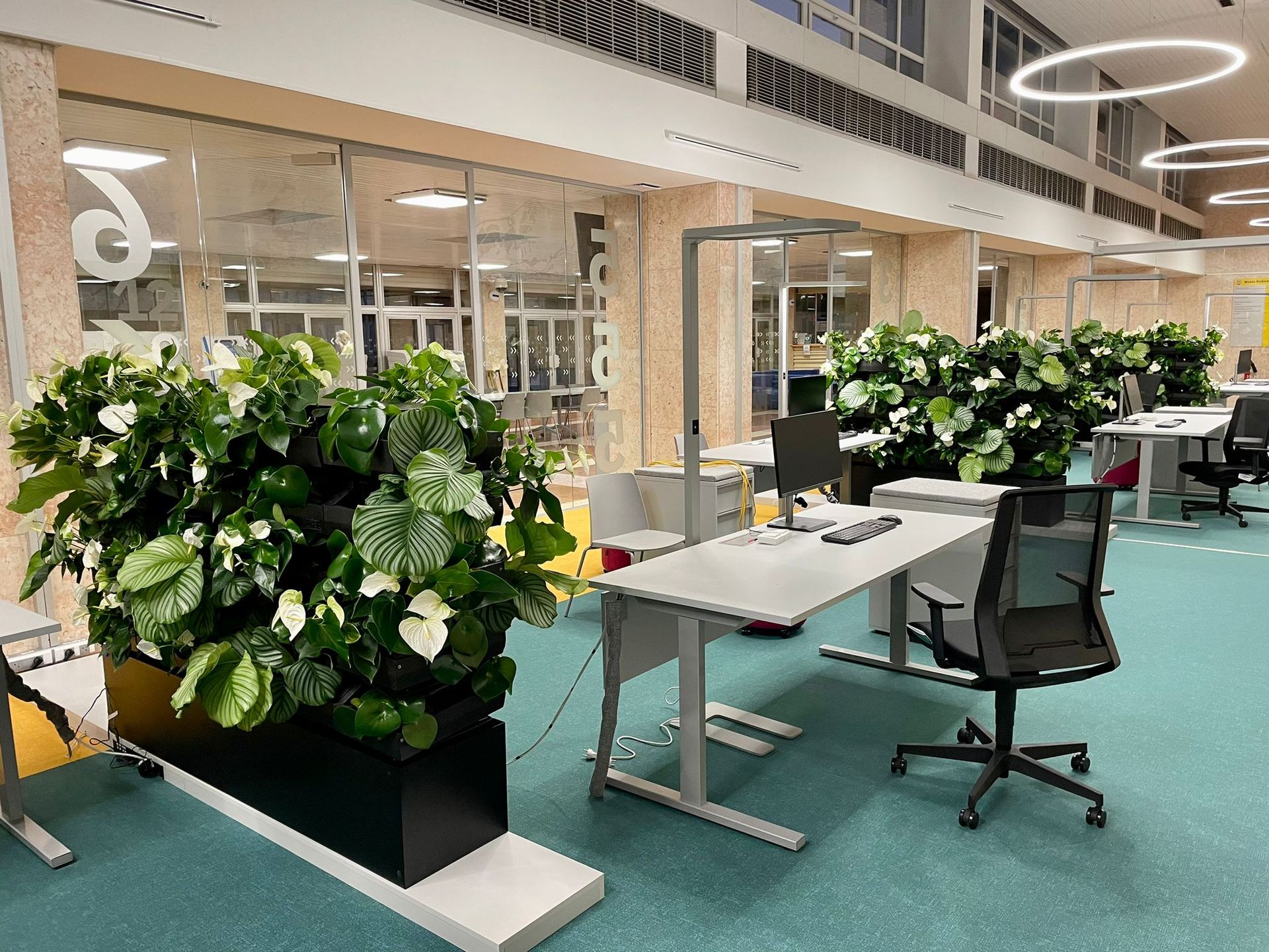 Zelená interiérová stena, Magistrát mesta Košice