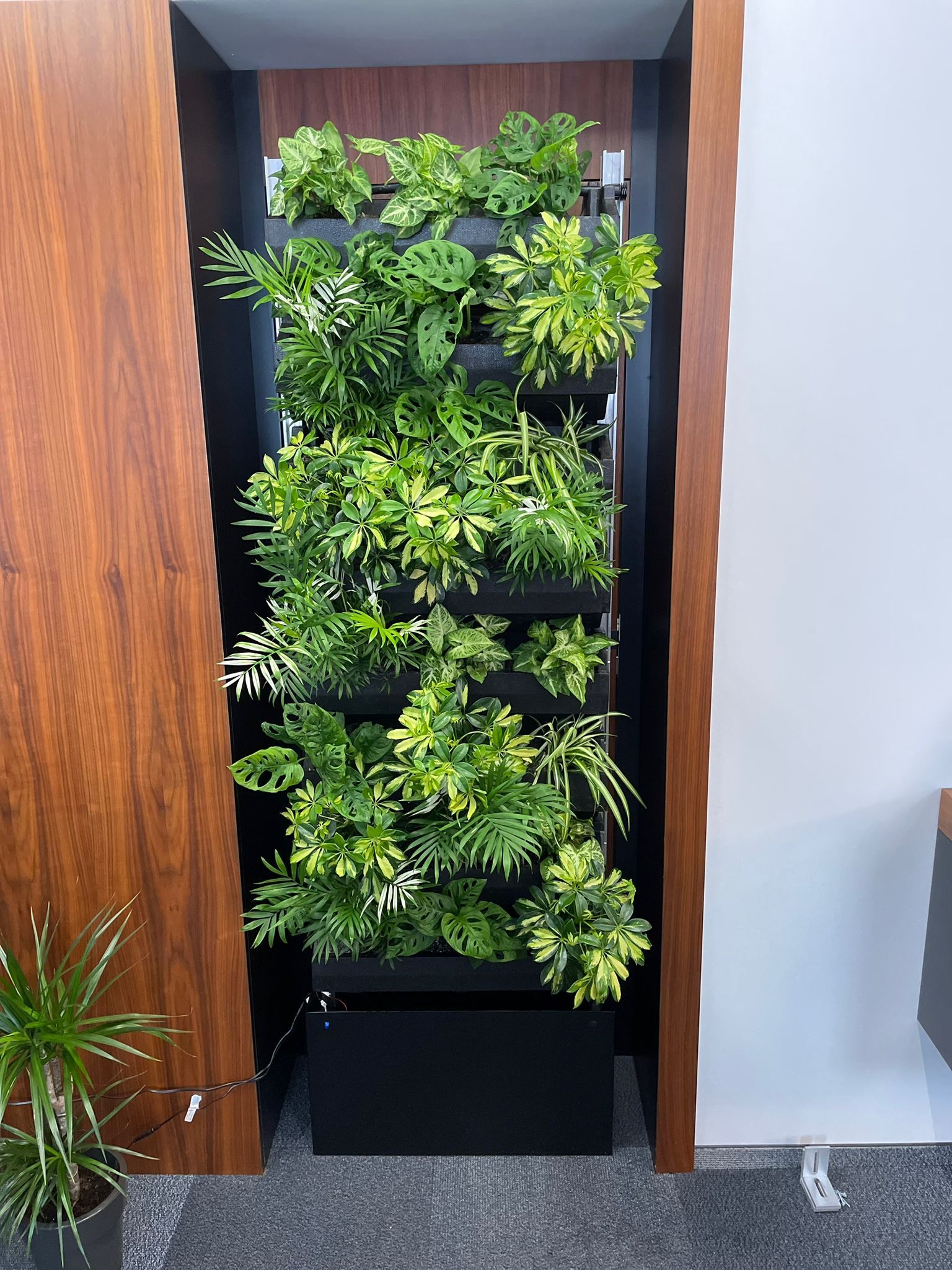 Zelená interiérová stena, VVS, Košice