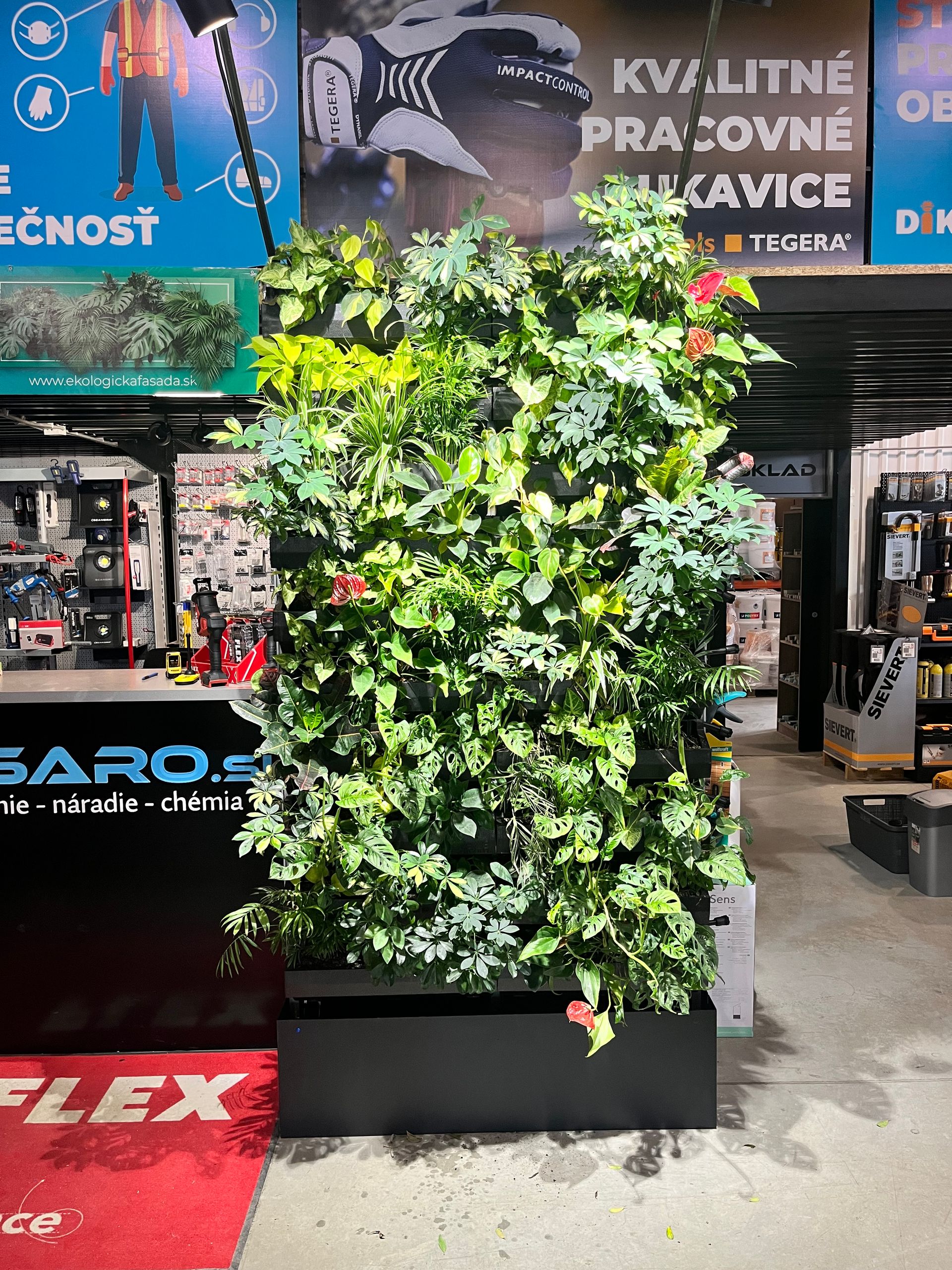 Zelená interiérová stena v showroome, Košice