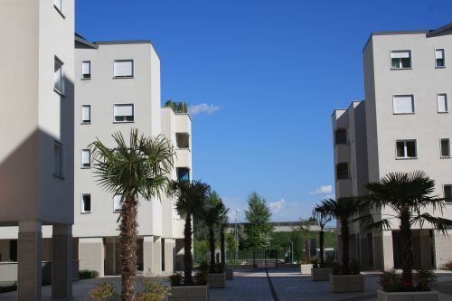 Cortile moderno di un condominio con palme, edifici bianchi e un cielo azzurro limpido.