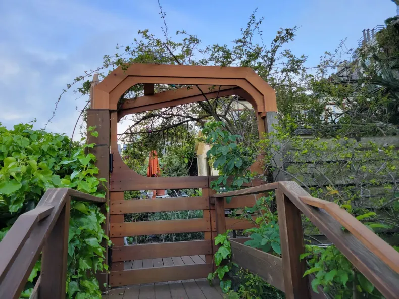 Wooden garden gate and stairs leading through a leafy archway under blue sky