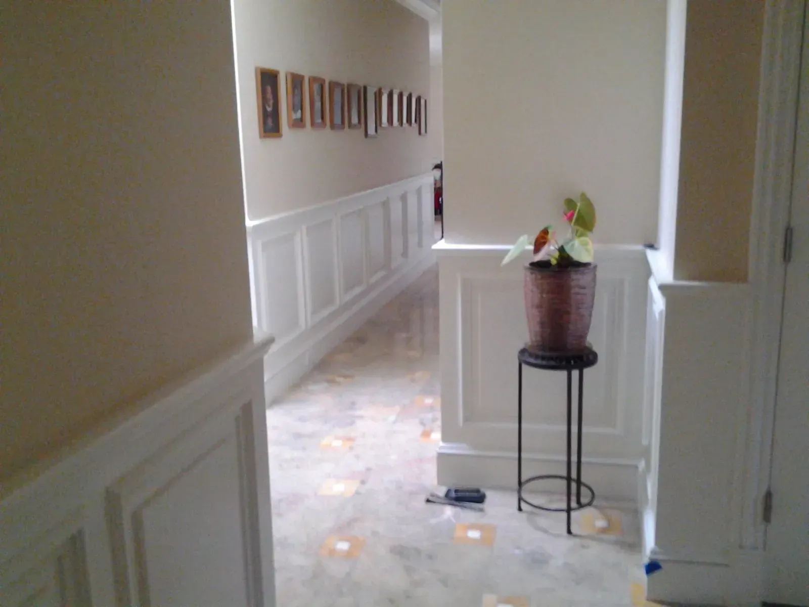 Hallway with white wainscoting, framed photos, and a small plant stand near the wall